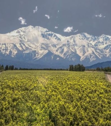 Catena Zapata winery